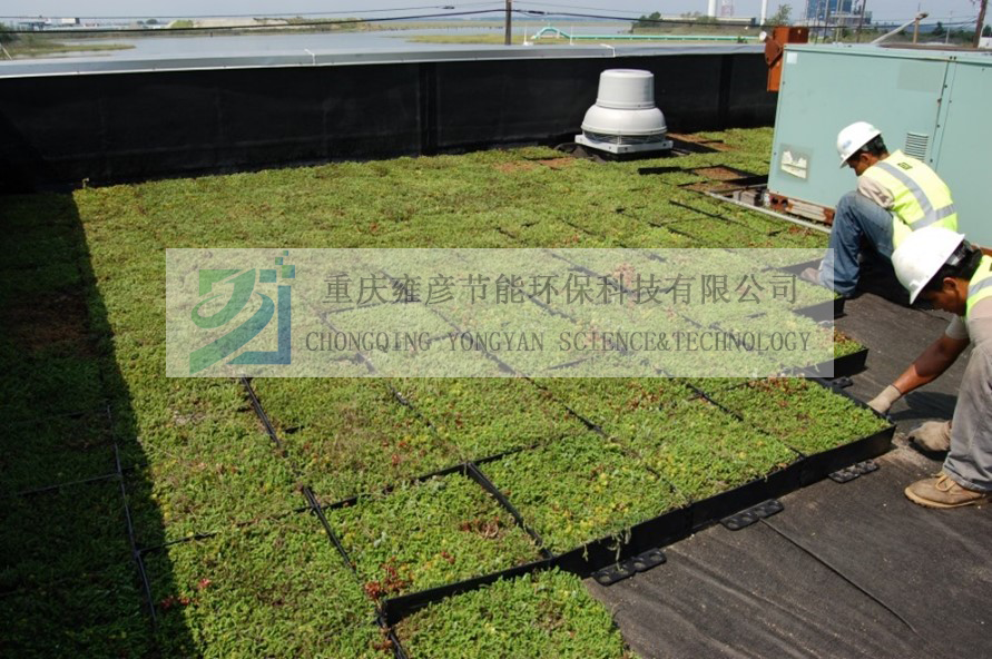 1612493996308408.png 1.png