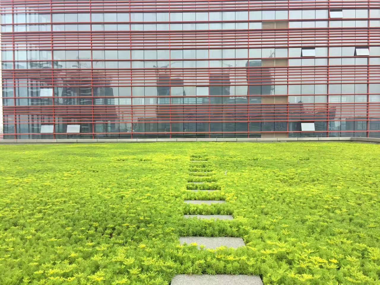 屋面綠化類(lèi)型介紹